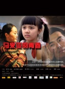 3.03免费OPPO版破解大全免费下载-软件3.0.3 3.0.3免费安装
